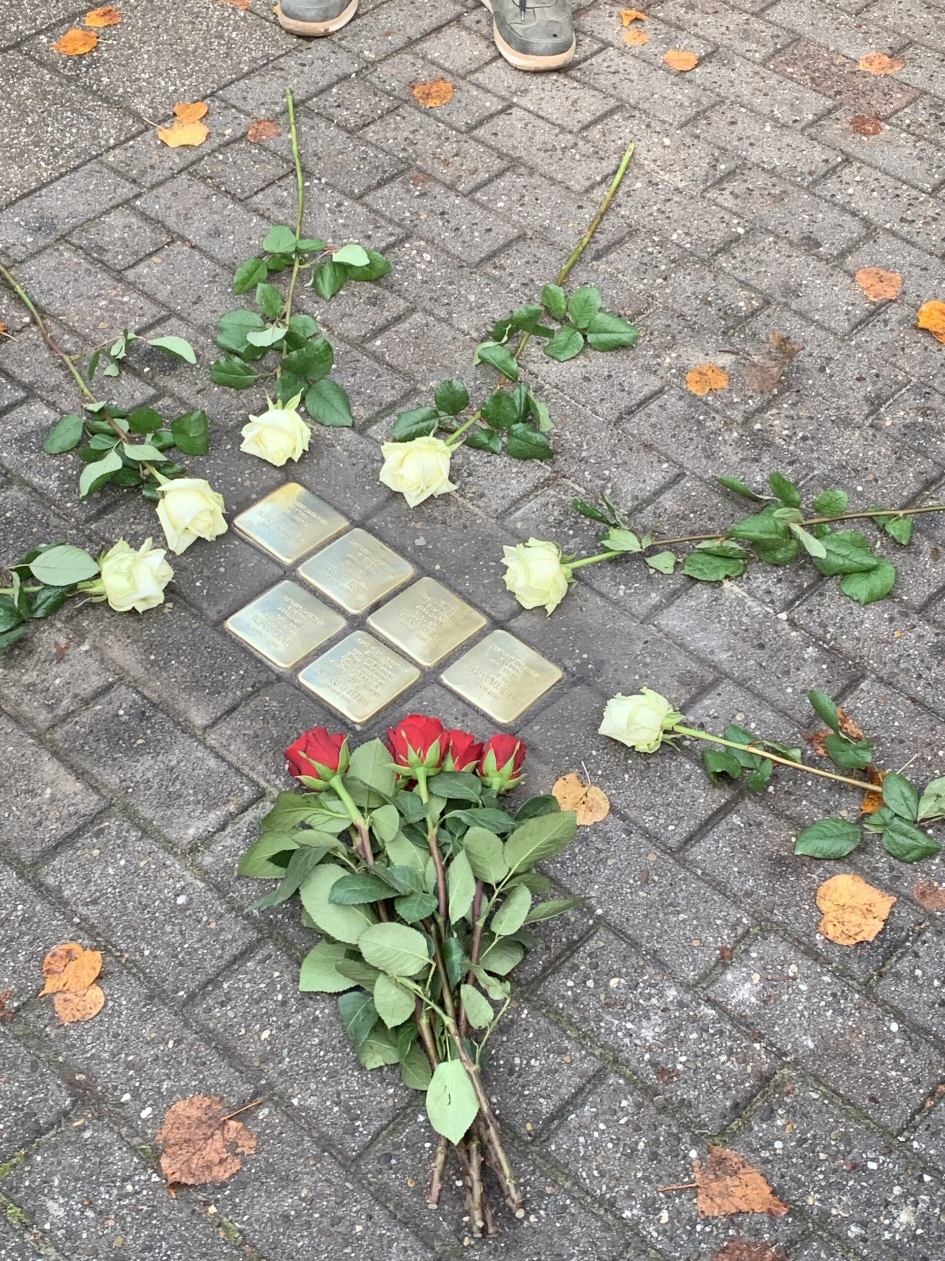 Erste Stolpersteine in Leer